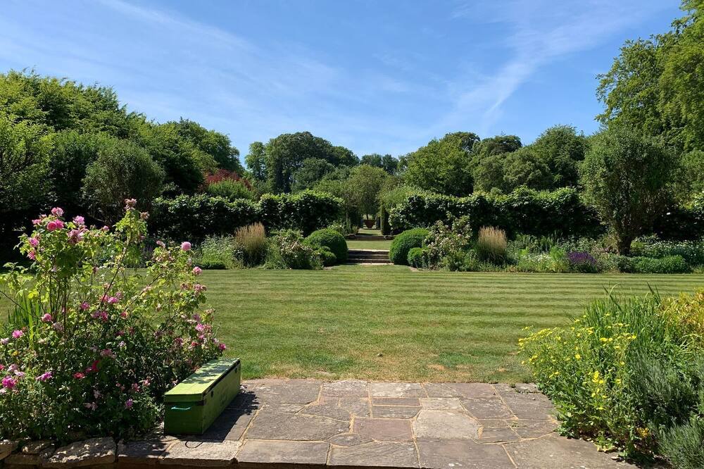 Photo of Outdoor in Cranborne