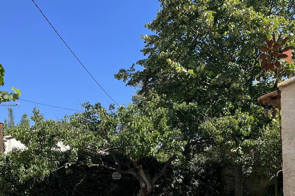 Photo of Outdoor in Hopitaux-Facultes
