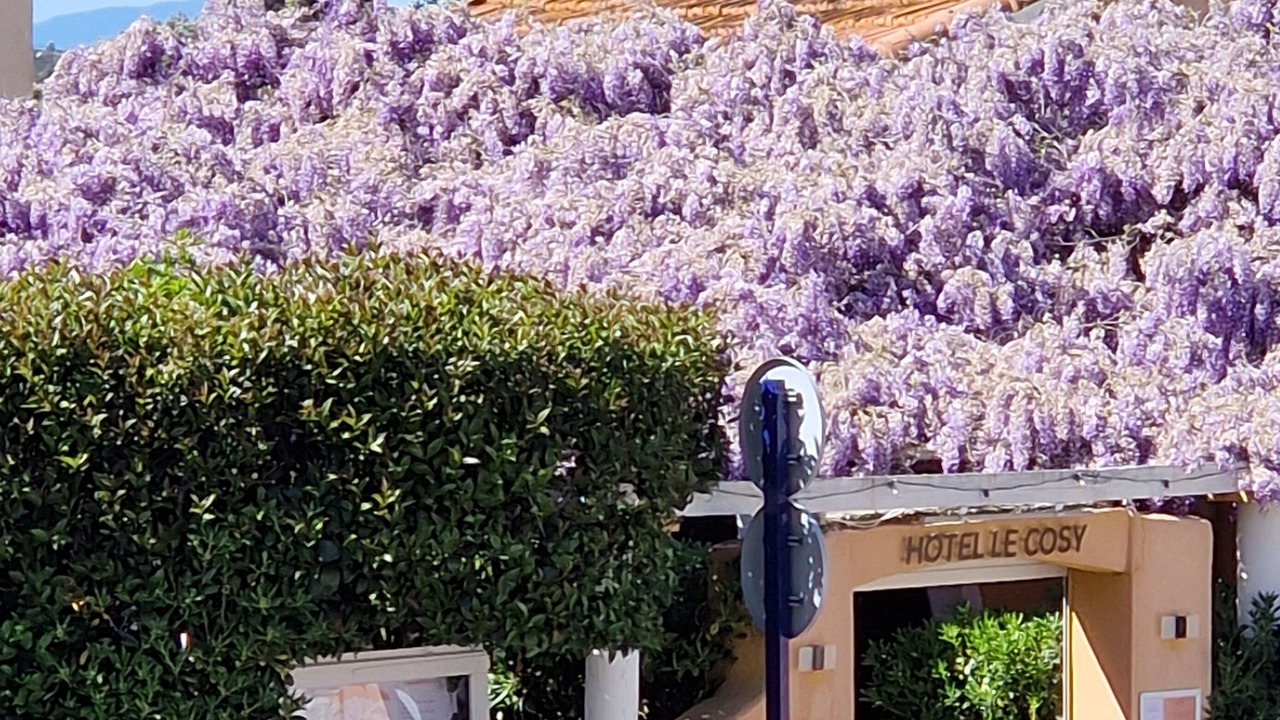 Photo of Outdoor in Saint-Aygulf