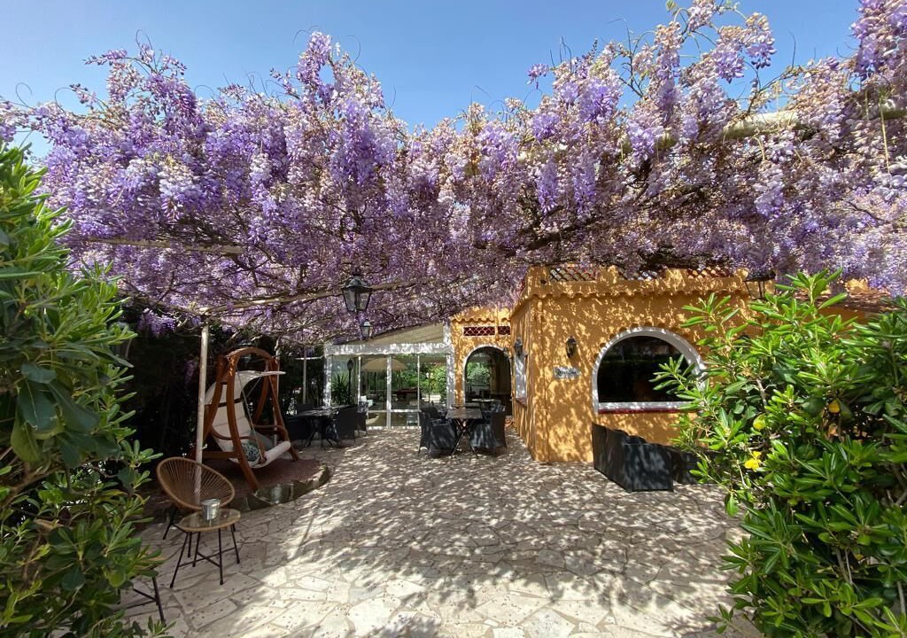 Photo of Outdoor in Saint-Aygulf