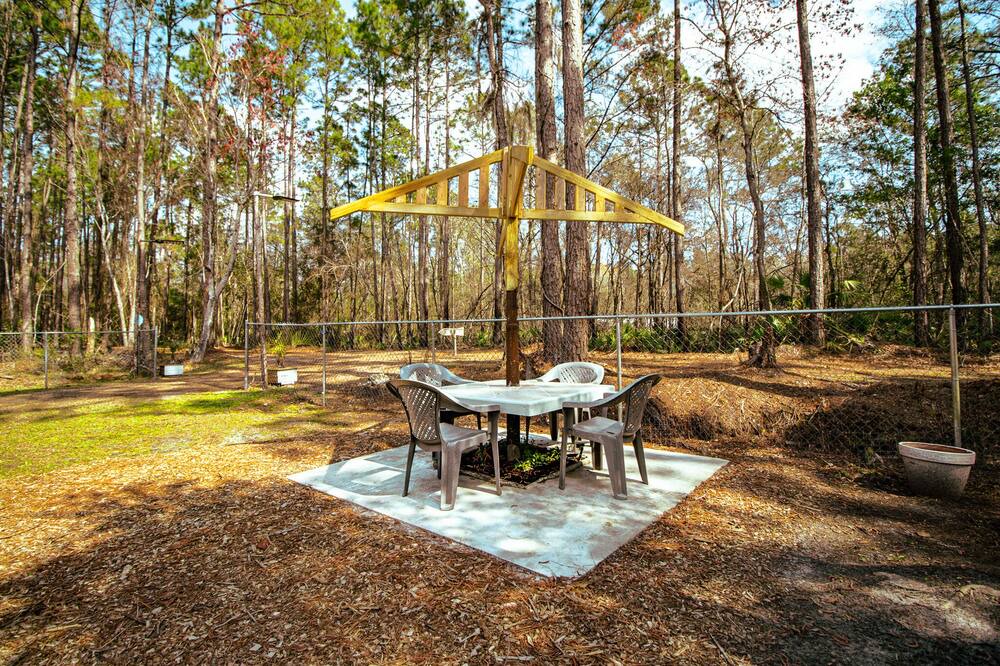 Photo of Outdoor in Waldo