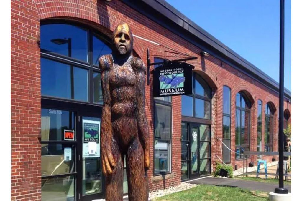 Photo of Outdoor in Portland