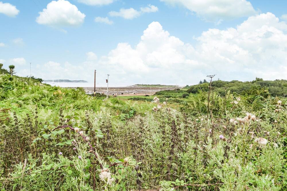 Photo of Others in Gigha