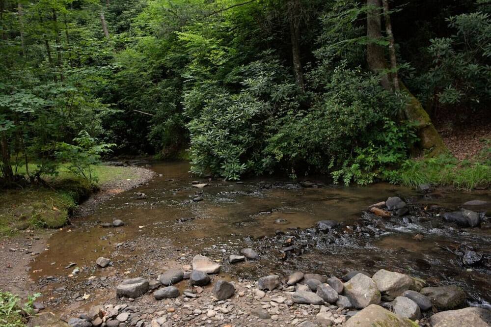 Photo of Others in Bryson City