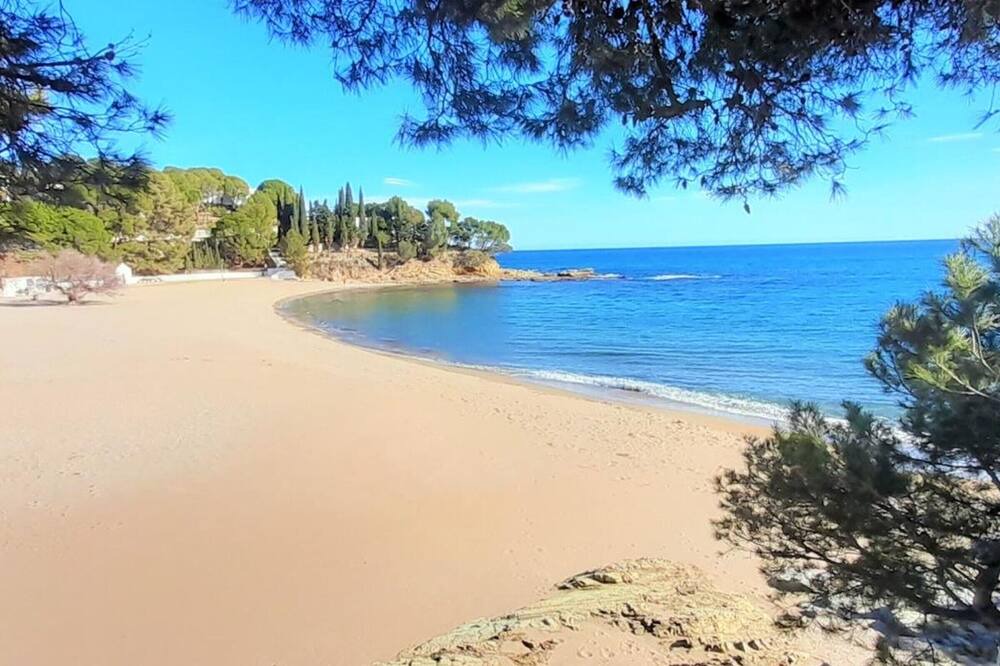 Photo of Others in Llanca