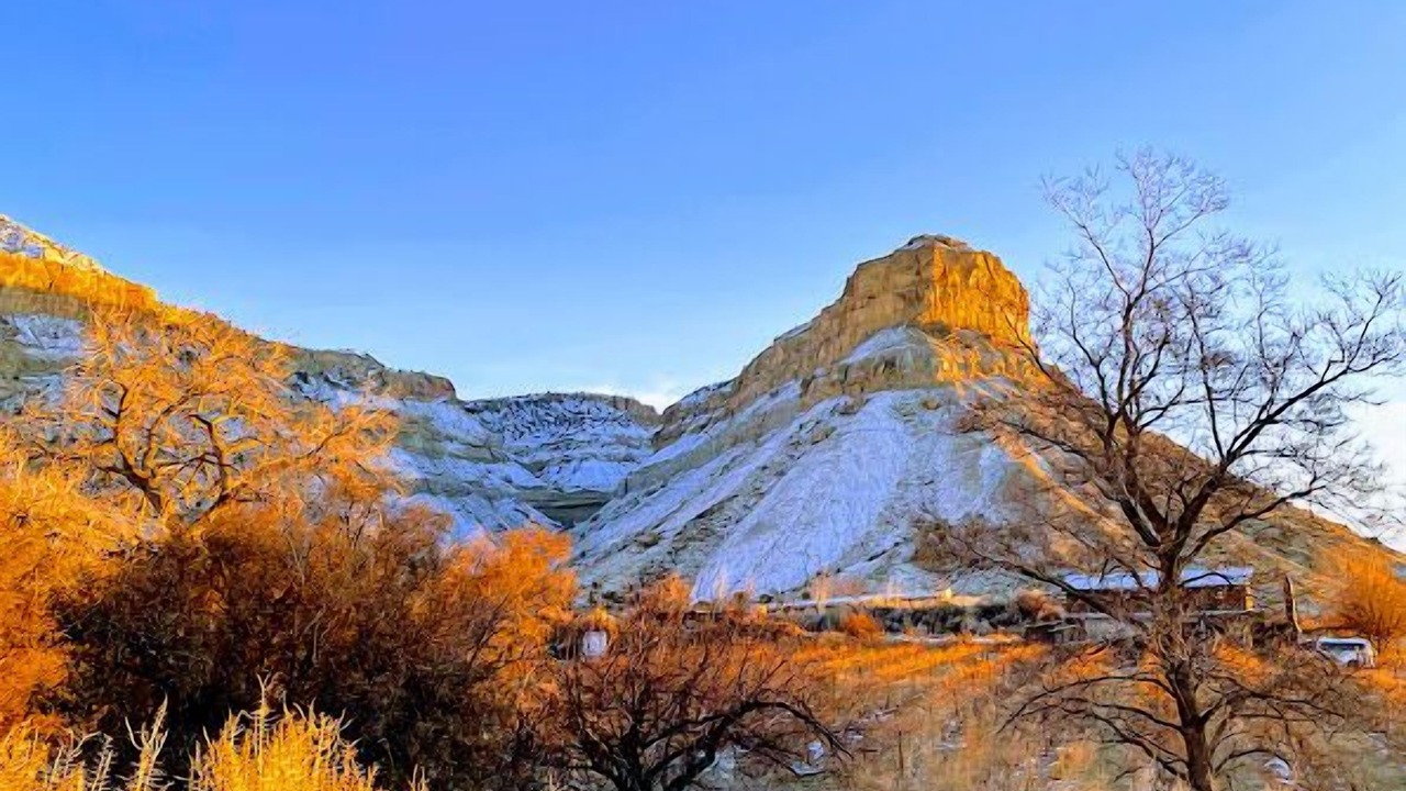 Photo of Others in Palisade