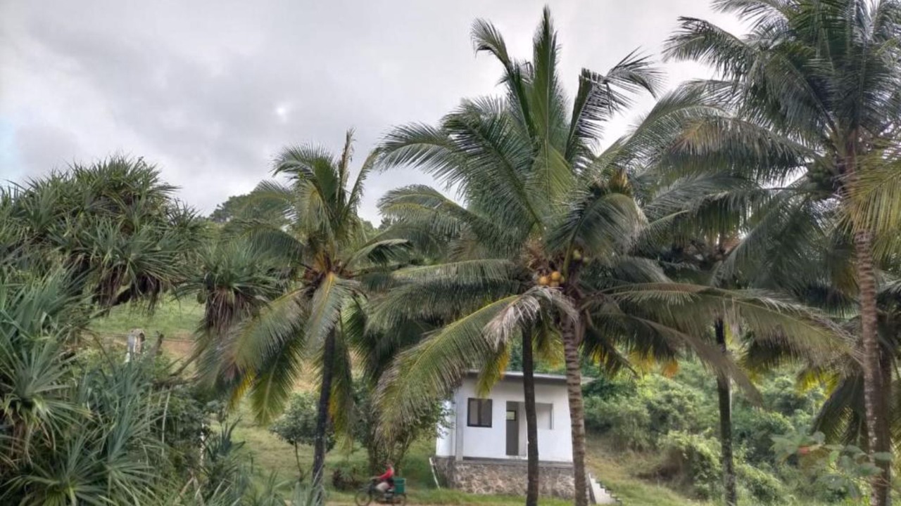 Photo of Outdoor in Kradenan