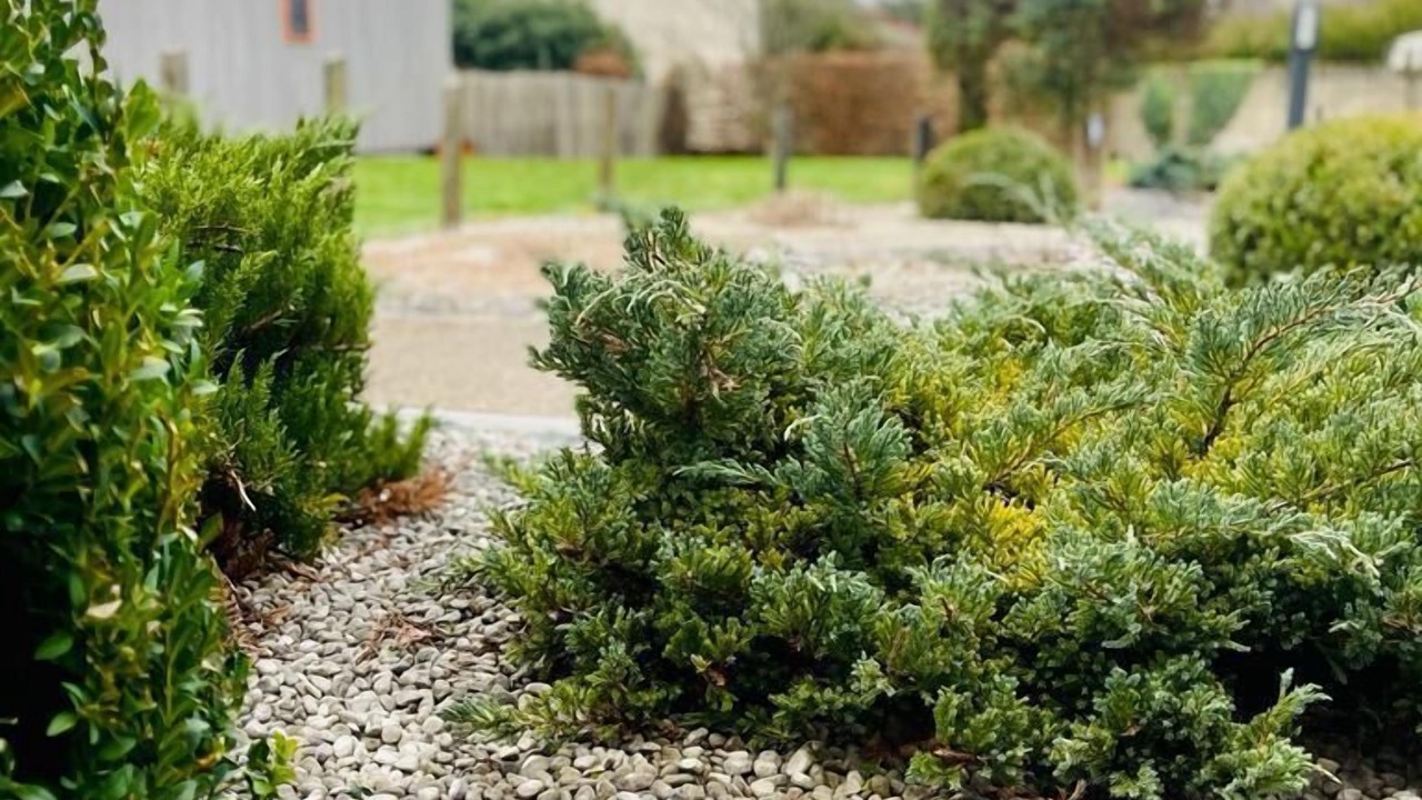 Photo of Outdoor in Loches-sur-Ource