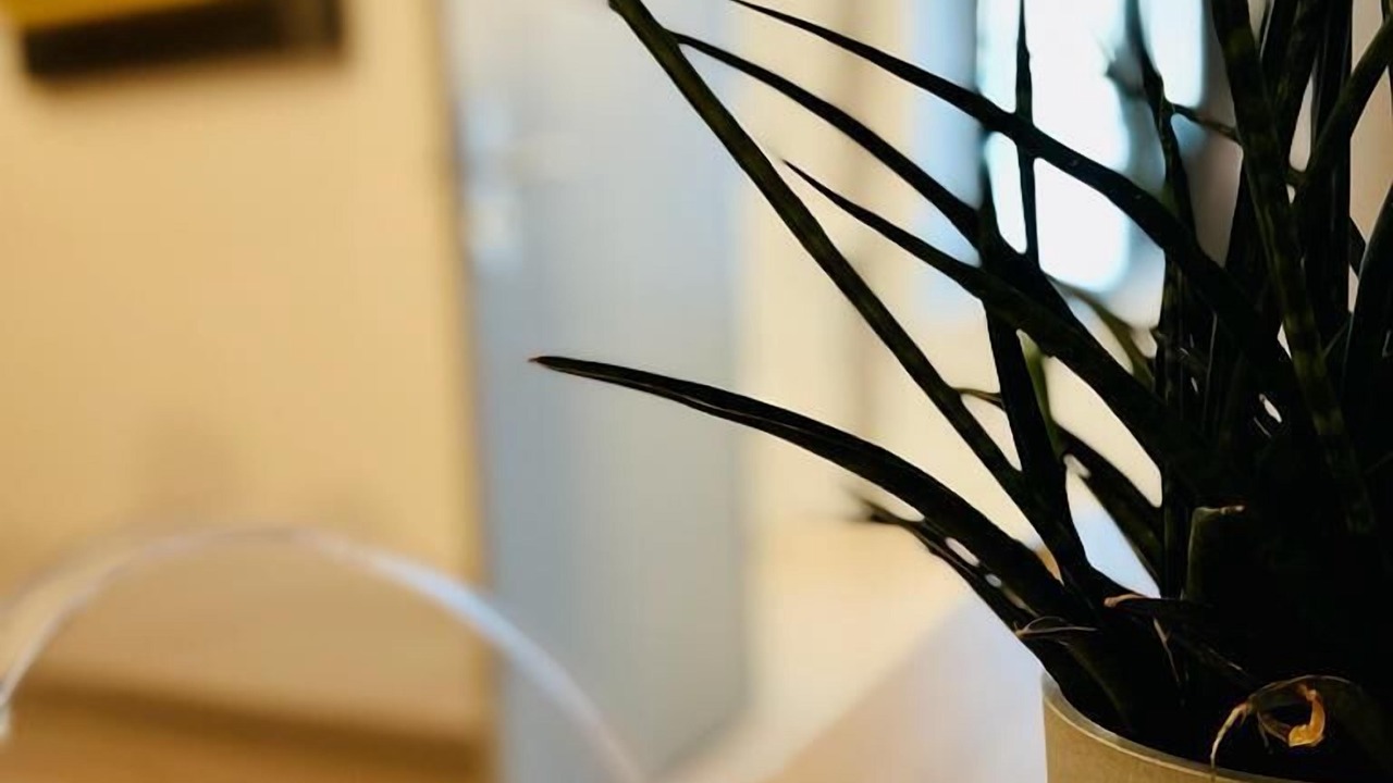 Photo of Bedroom in Loches-sur-Ource