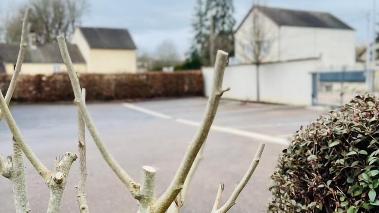 Photo of Outdoor in Loches-sur-Ource