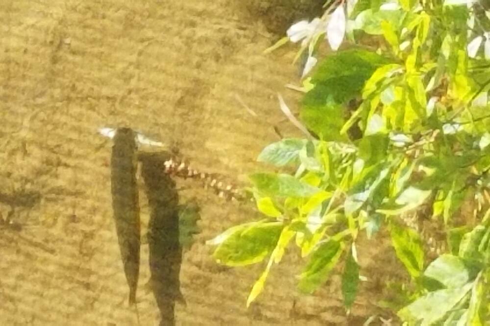 Photo of Others in New Durham