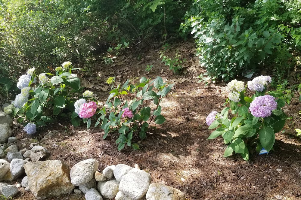 Photo of Outdoor in New Durham