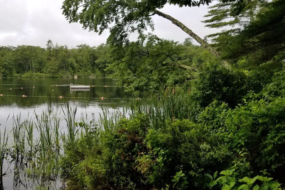 Photo of Outdoor in New Durham