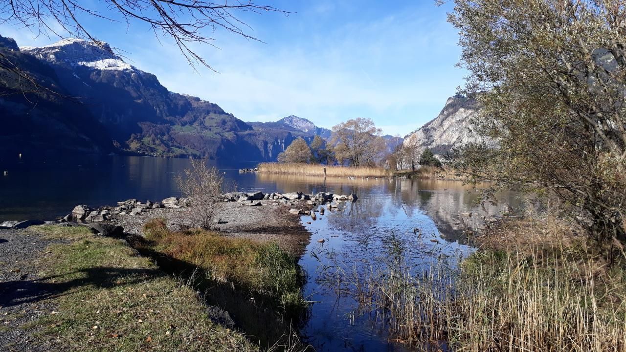 Photo of Others in Attinghausen