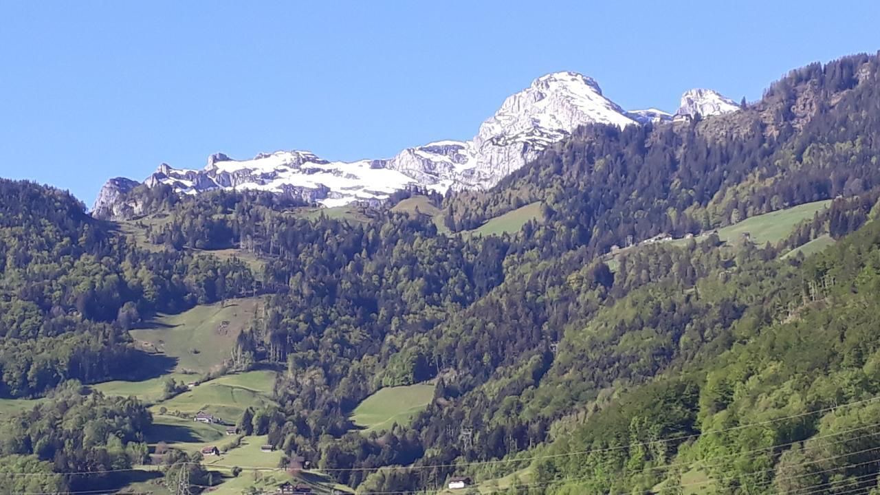 Photo of Others in Attinghausen