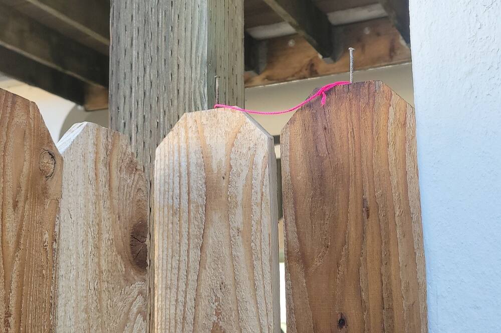 Photo of Others in Martinez