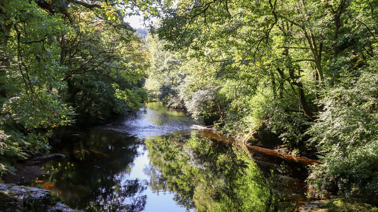 Photo of Others in Bere Alston