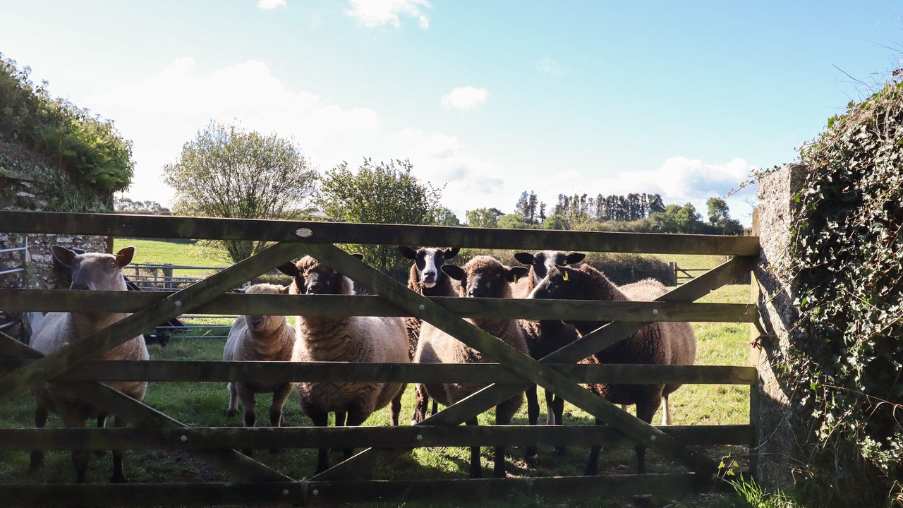 Photo of Others in Bere Alston