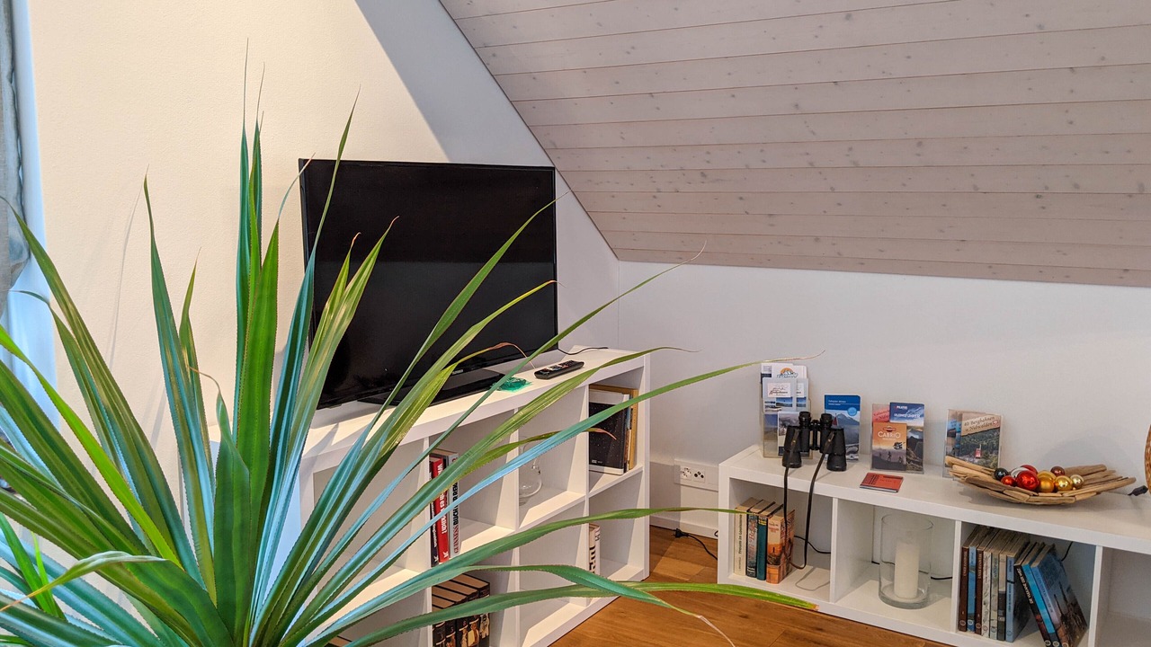 Photo of Livingroom in Alpnachstad