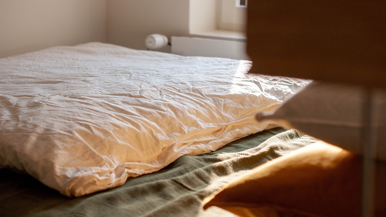 Photo of Bedroom in Alpnachstad