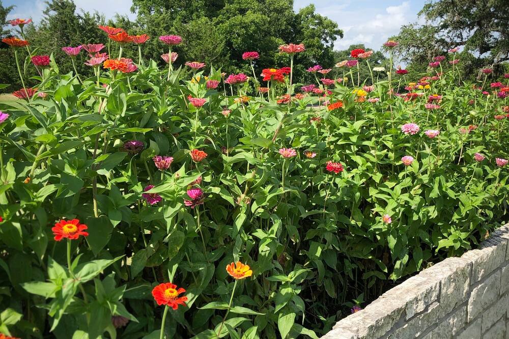 Photo of Outdoor in Burton