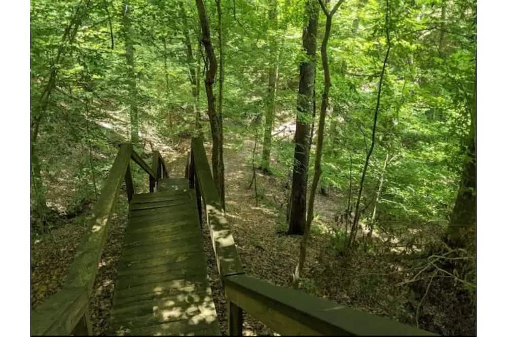 Photo of Outdoor in Elliott