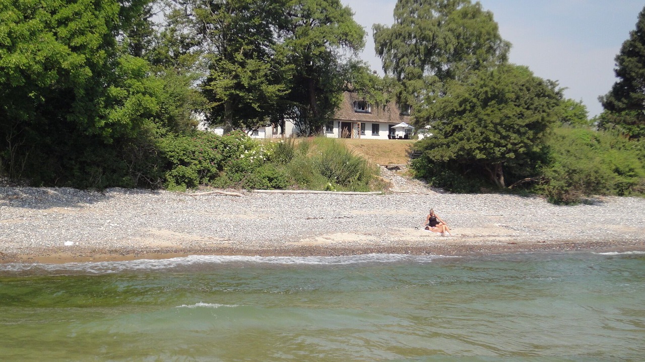 Photo of Others in Stege