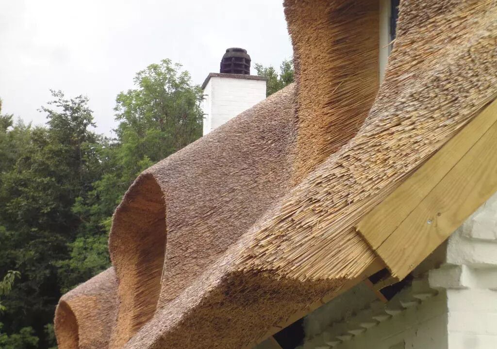 Photo of Outdoor in Stege