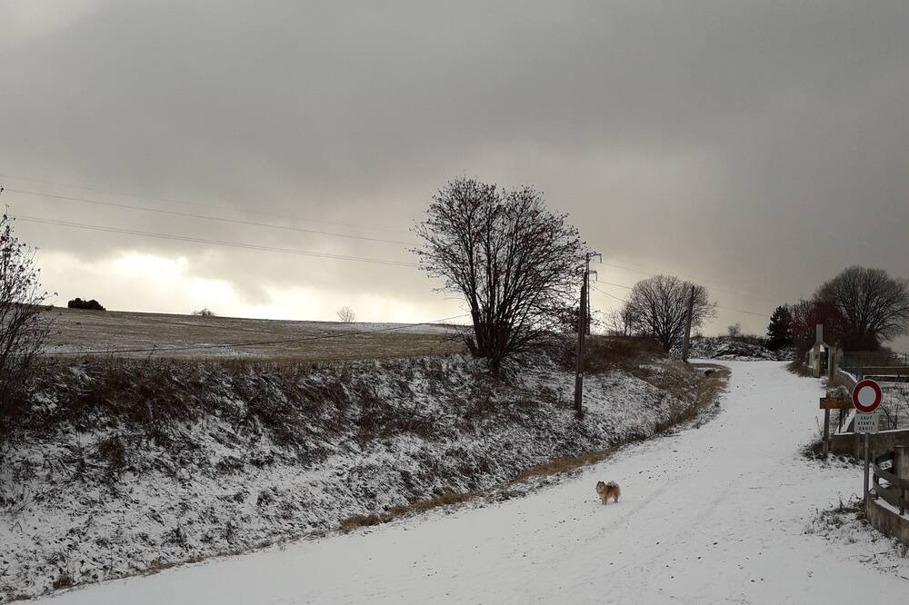 Photo of Others in Saint-Pierre-dels-Forcats