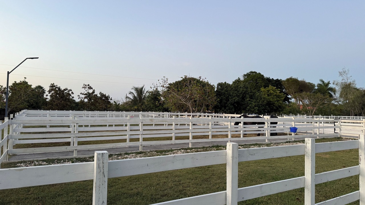 Photo of Outdoor in Homestead