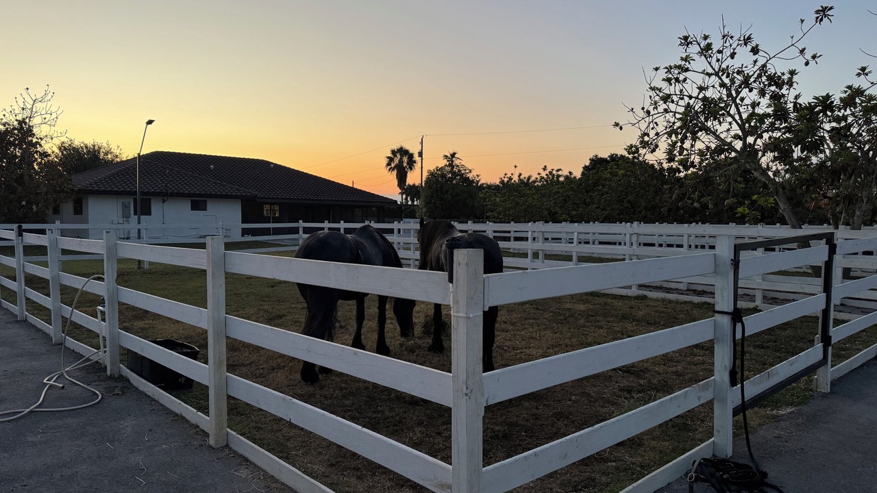 Photo of Outdoor in Homestead
