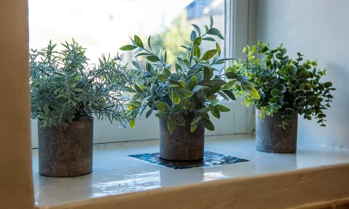 Photo of Others in Batheaston