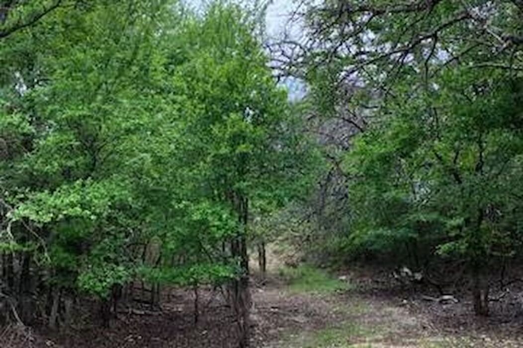Photo of Outdoor in Paluxy