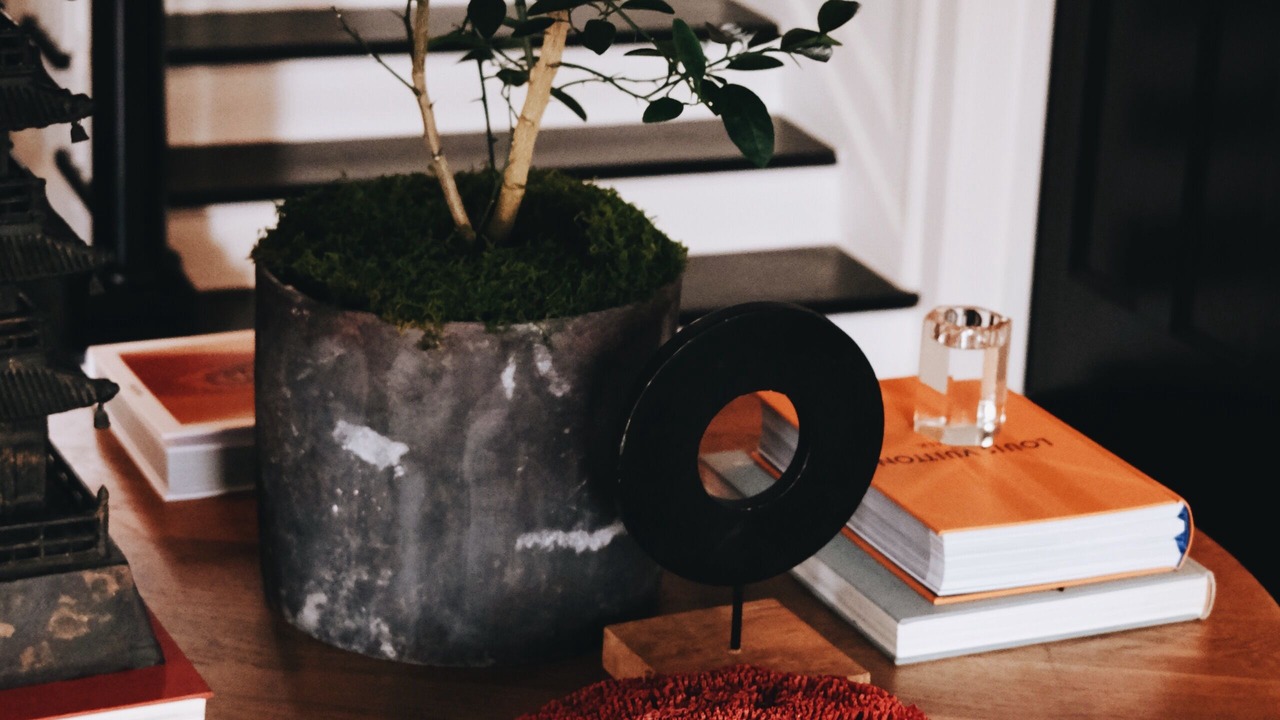 Photo of Others in Southmoreland