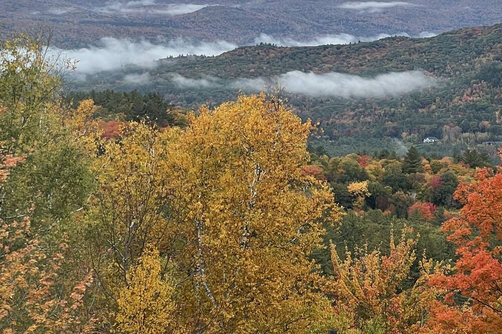 Photo of Others in Campton