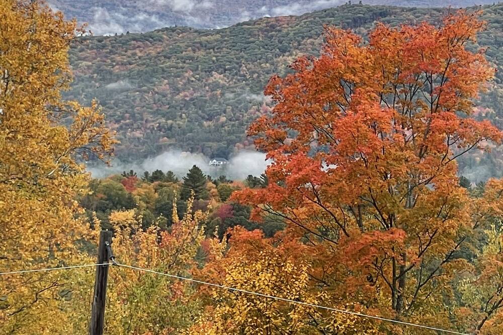 Photo of Others in Campton