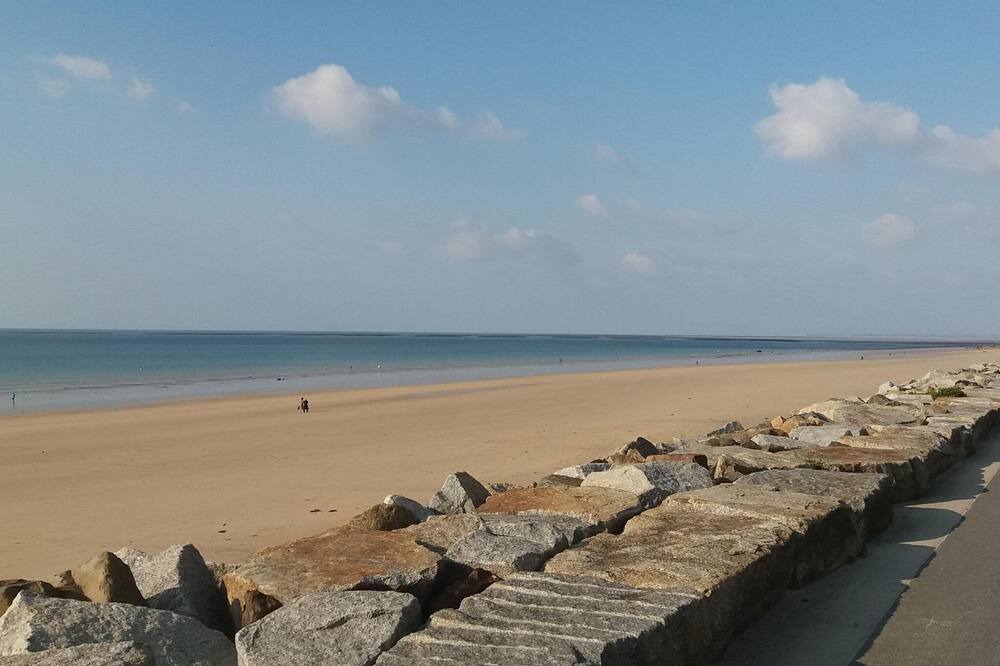 Photo of Others in Montaigu-les-Bois