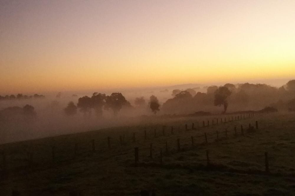 Photo of Others in Montaigu-les-Bois