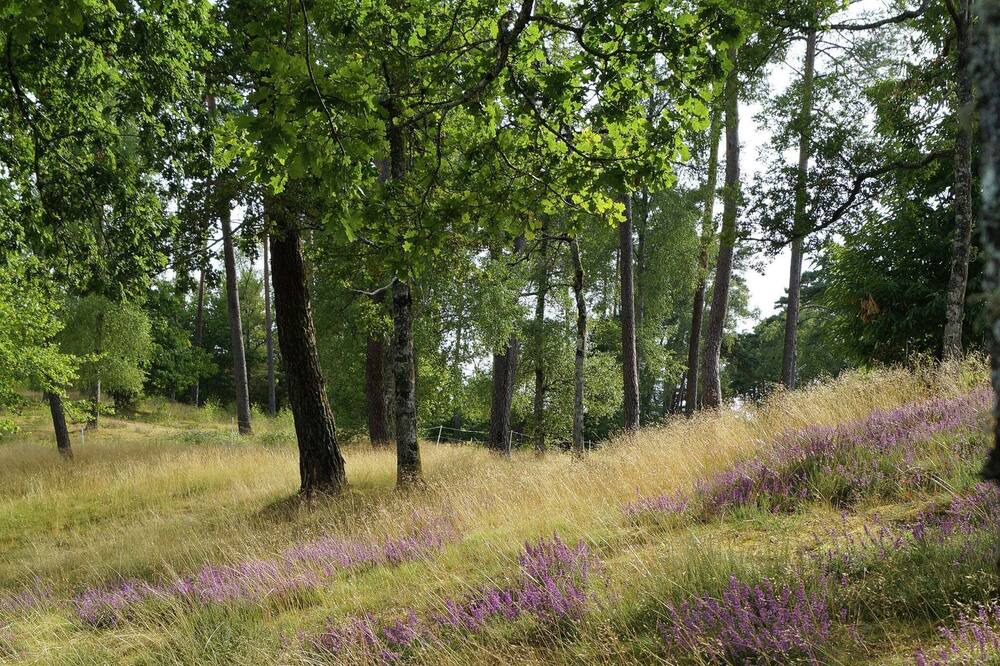 Photo of Others in Auriac