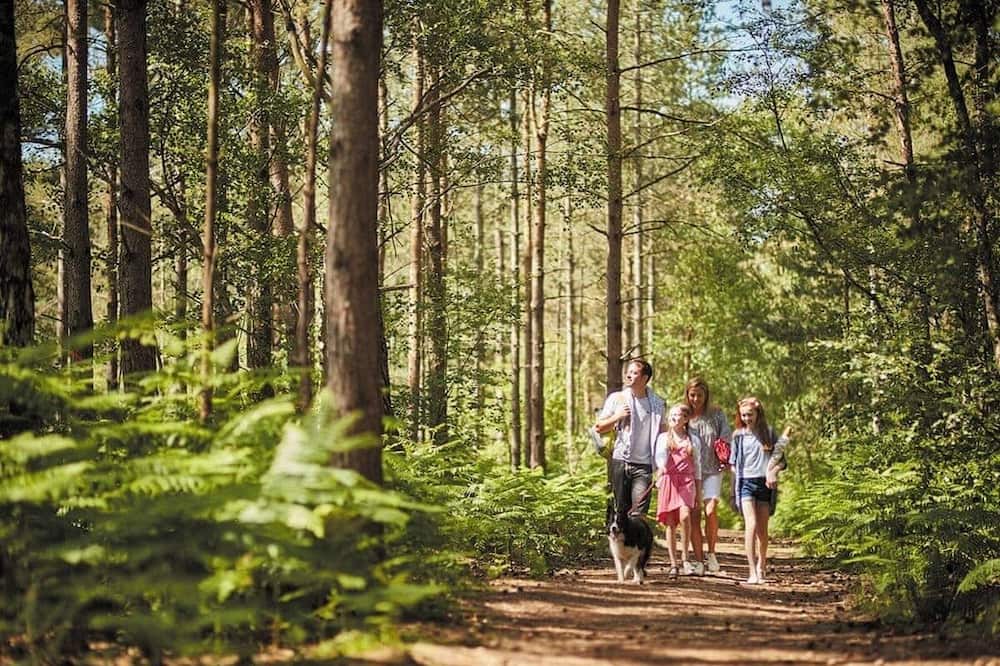 Photo of Others in Ringwood