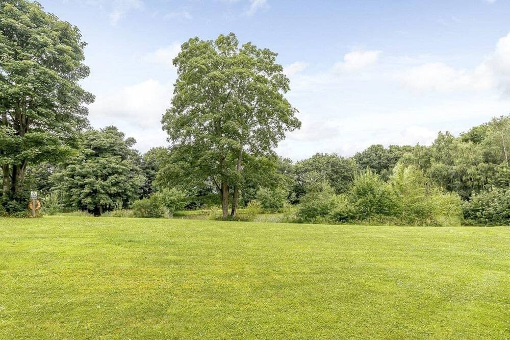 Photo of Others in Mansfield