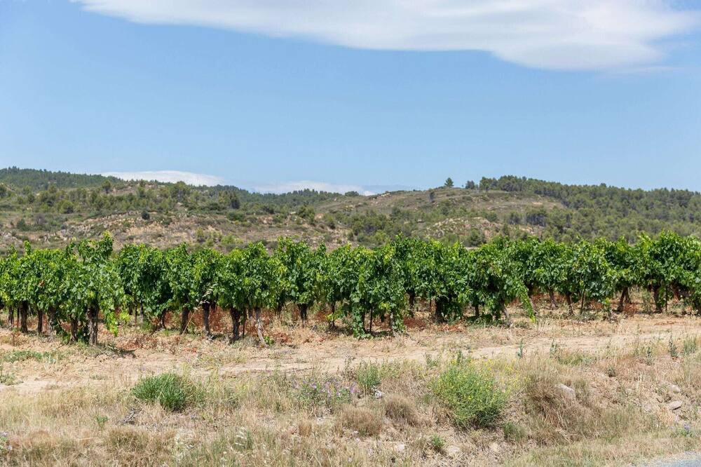 Photo of Others in Bize-Minervois