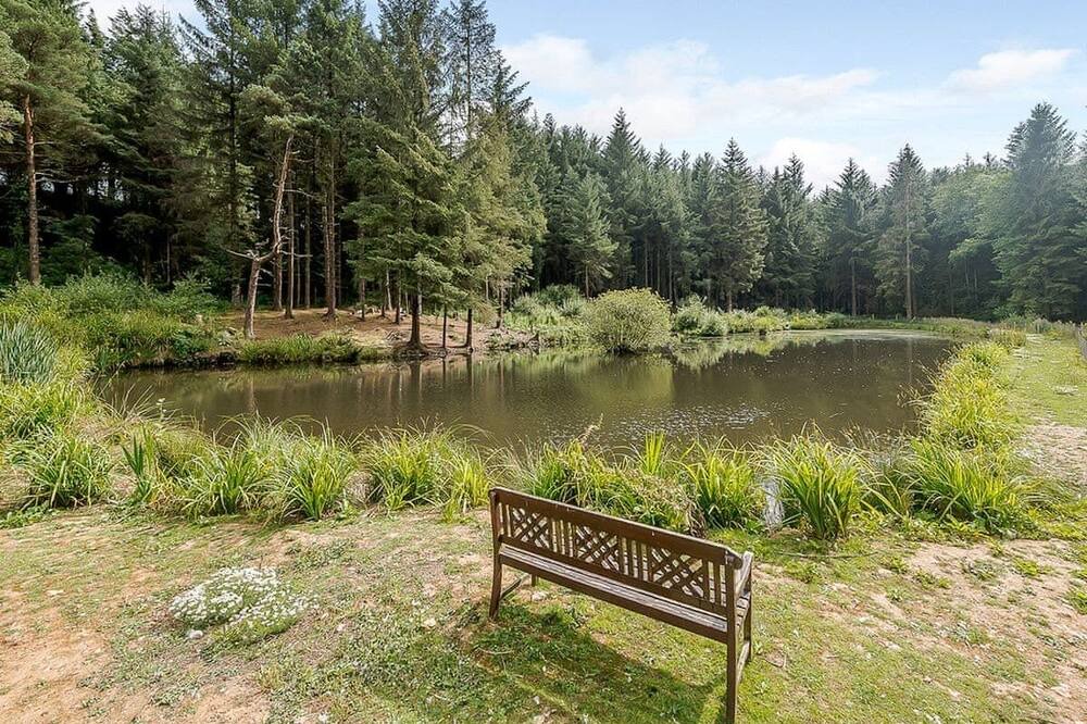 Photo of Others in Honiton