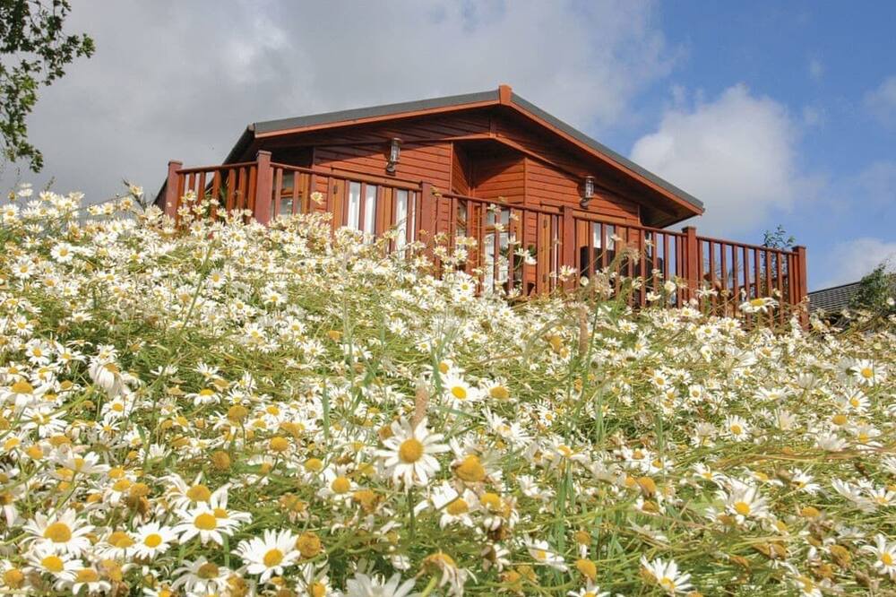 Photo of Others in Honiton