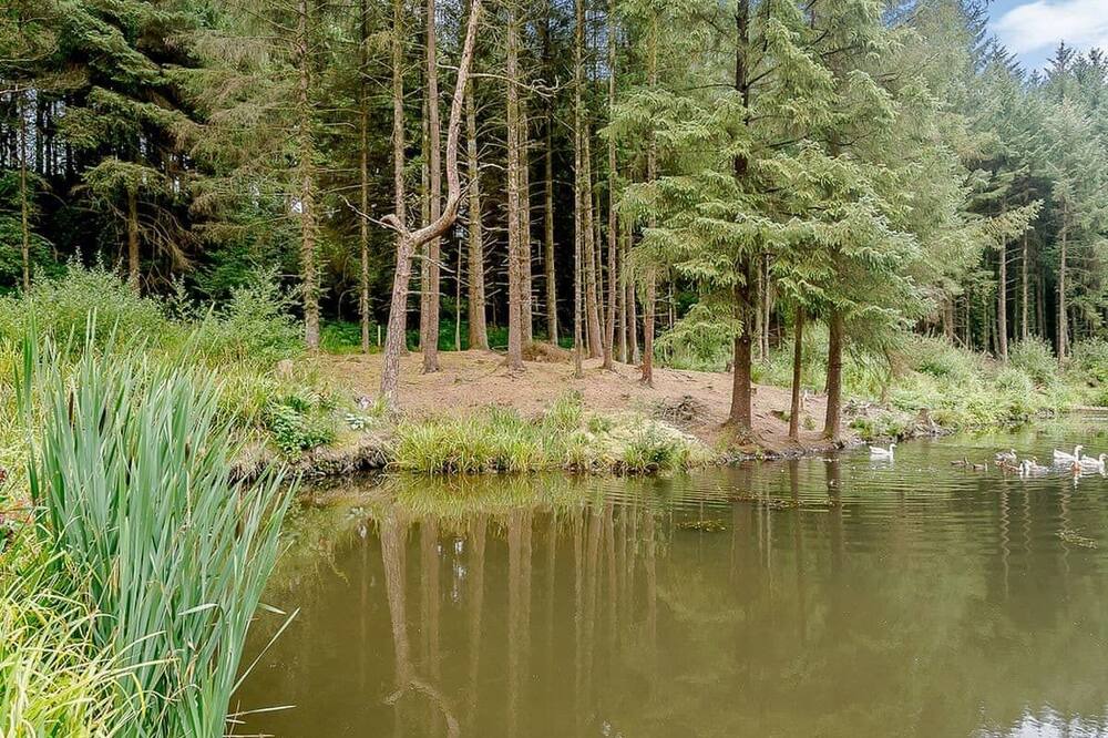 Photo of Others in Honiton