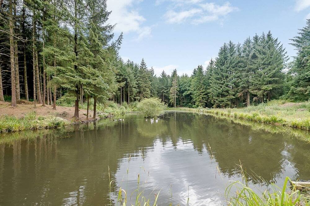 Photo of Others in Honiton