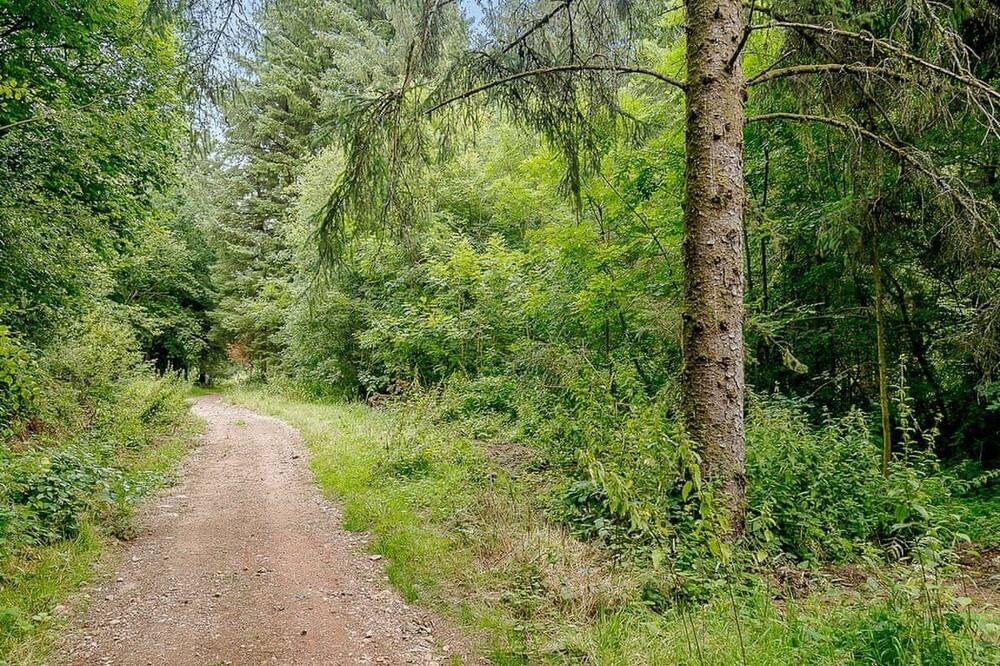 Photo of Others in Honiton