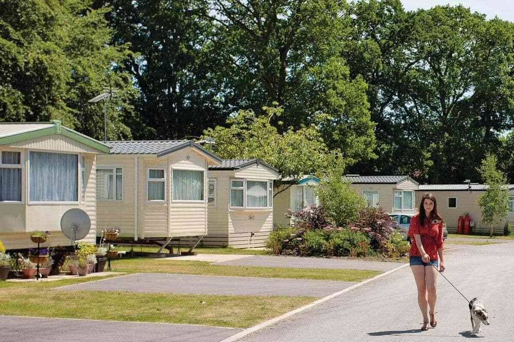 Photo of Others in Ringwood