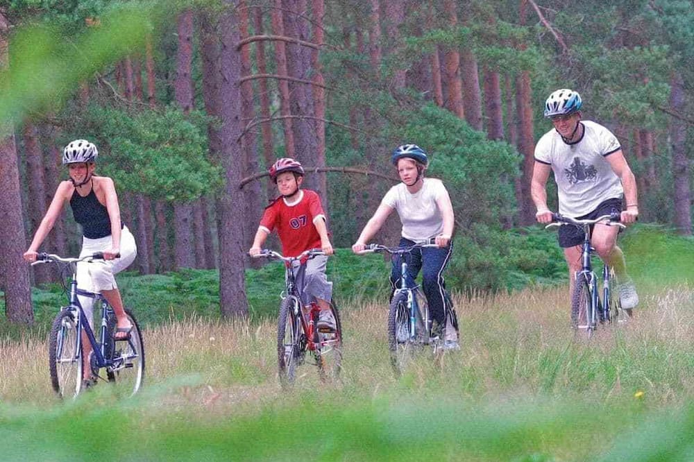 Photo of Others in Ringwood