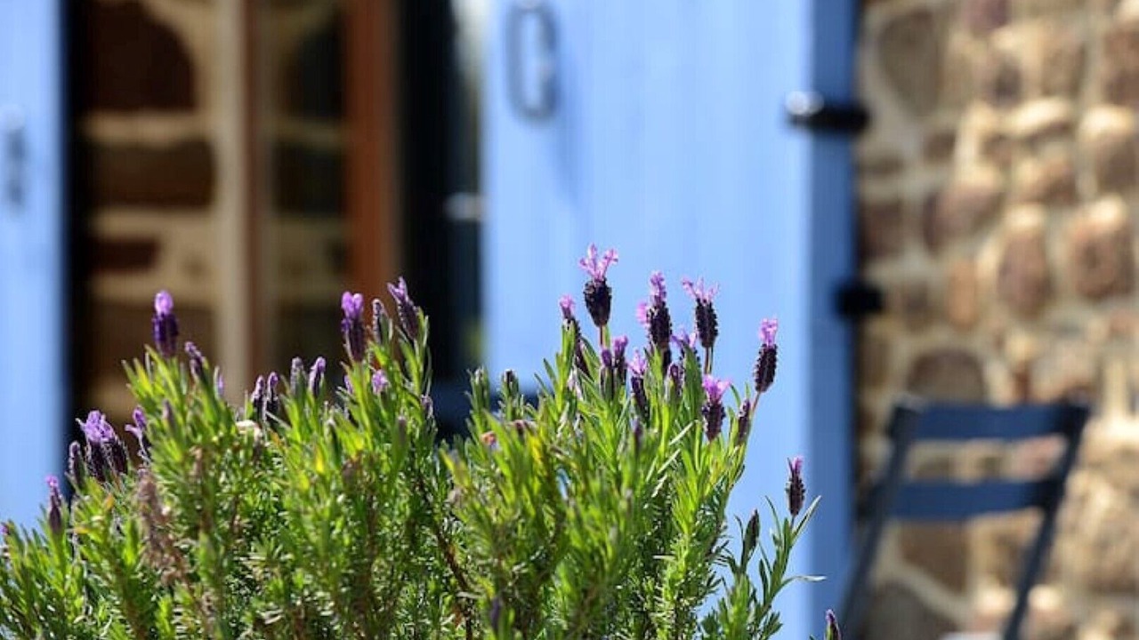 Photo of Outdoor in Saint-Aubin-Fosse-Louvain